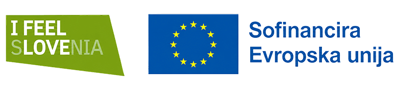 Sofinancira Evropska unija