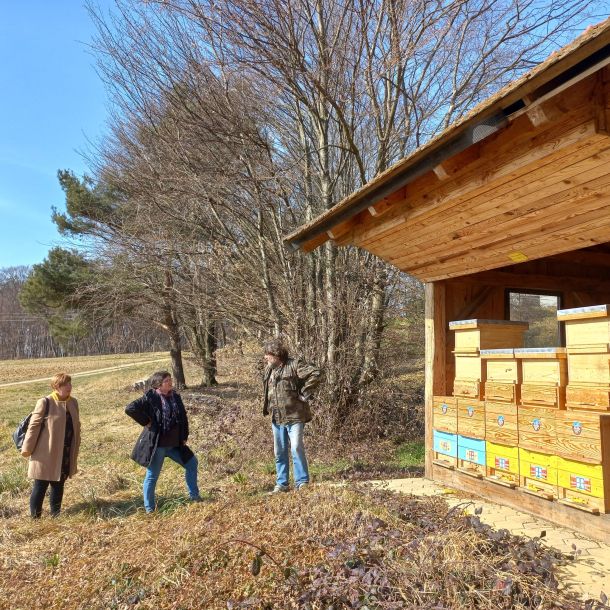 Slika 6 - drugo usposabljanje